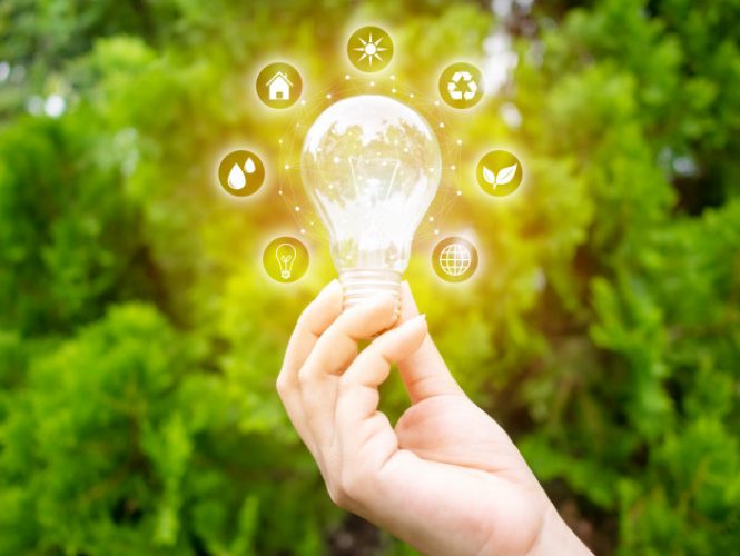 concept-save-energy-efficiency-hand-holding-light-bulb-with-eco-icons_20693-211